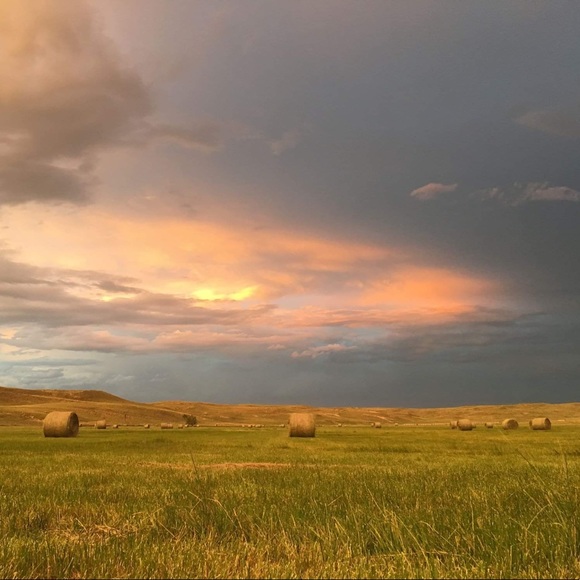 Meet your Posher, Glenda - Picture 2 of 6